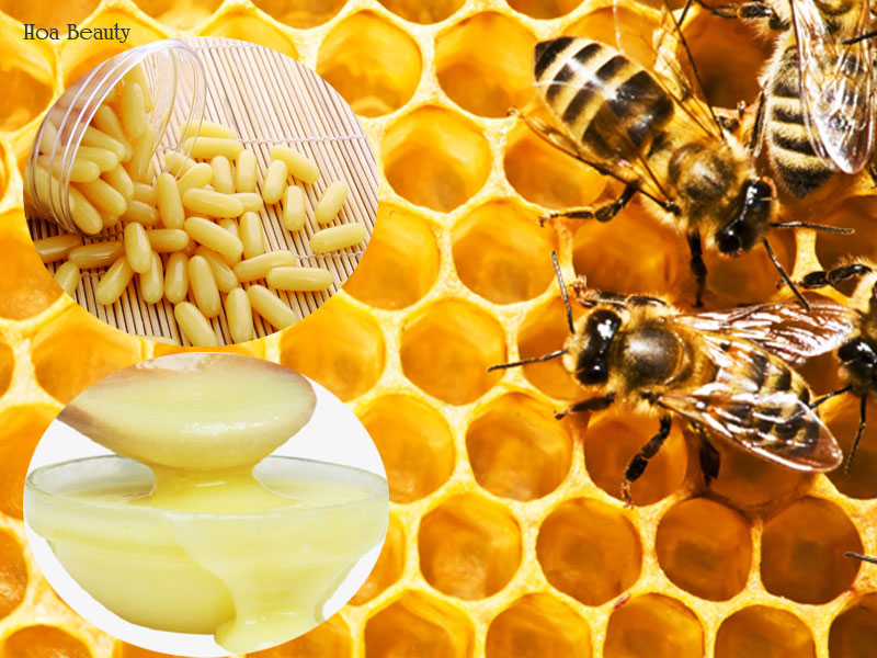 hình ảnh sữa ong chúa - tinh nghệ sữa ong chúa là gì?